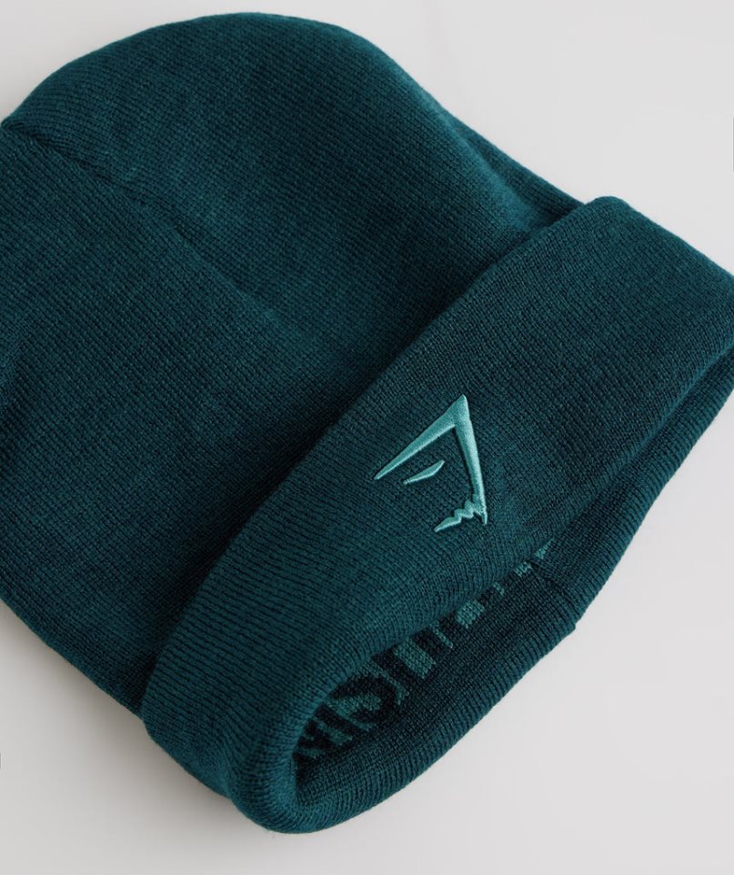 Gymshark Reversable Jacquard Beanie Turquoise | CA 7DN15A